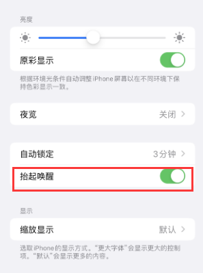 息县苹果授权维修站分享iPhone轻点无法唤醒怎么办 息县苹果授权维修站分享iPhone轻点无法唤醒怎么办