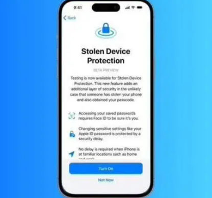 息县苹果授权维修店分享被盗设备保护功能开启方法
