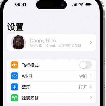 息县appleID维修服务iPhone设置中Apple ID显示为灰色无法使用 