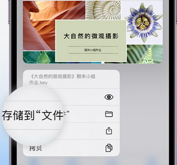 息县apple维修中心分享iPhone文件应用中存储和找到下载文件