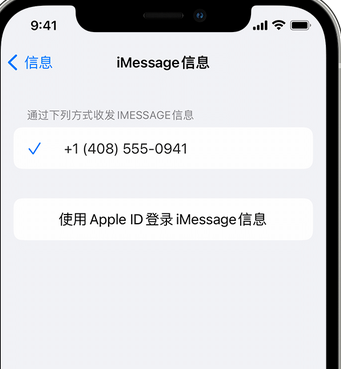 息县apple维修iPhone上无法正常发送iMessage信息 