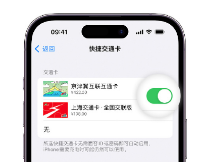 息县apple维修点分享iPhone上更换Apple Pay快捷交通卡手绘卡面 