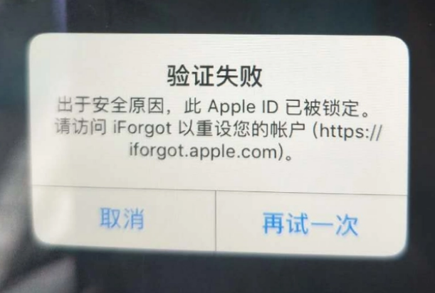 息县iPhone维修分享iPhone上正常登录或使用AppleID怎么办 