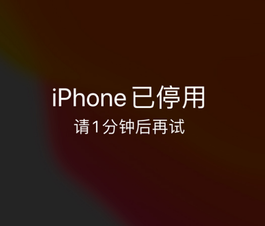 息县苹果手机维修分享:iPhone 显示“不可用”或“已停用”怎么办？还能保留数据吗？ 