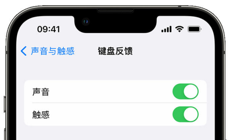 息县苹果手机维修分享iPhone 14触感键盘使用方法 