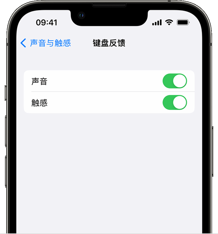 息县苹果14维修店分享如何在 iPhone 14 机型中使用触感键盘 