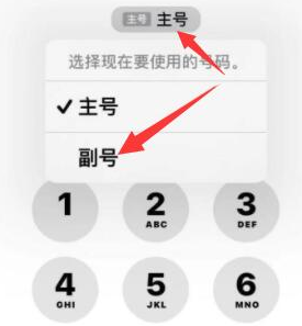 息县苹果14维修店分享iPhone 14 Pro Max使用副卡打电话的方法 