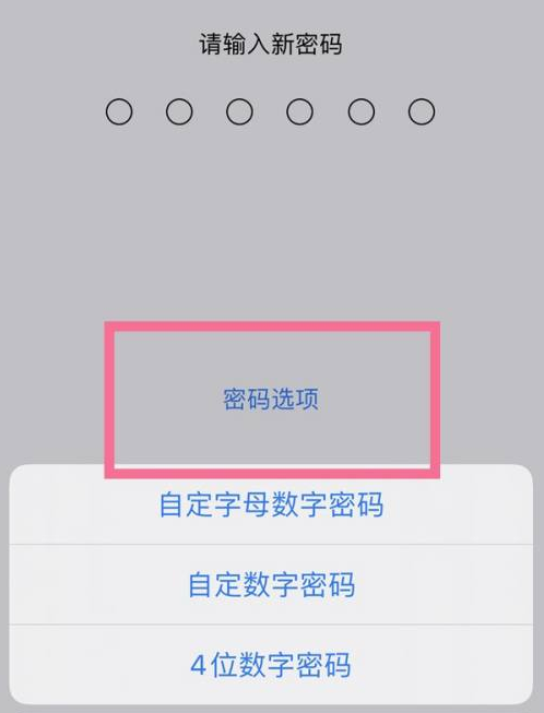 息县苹果14维修分享iPhone 14plus设置密码的方法 