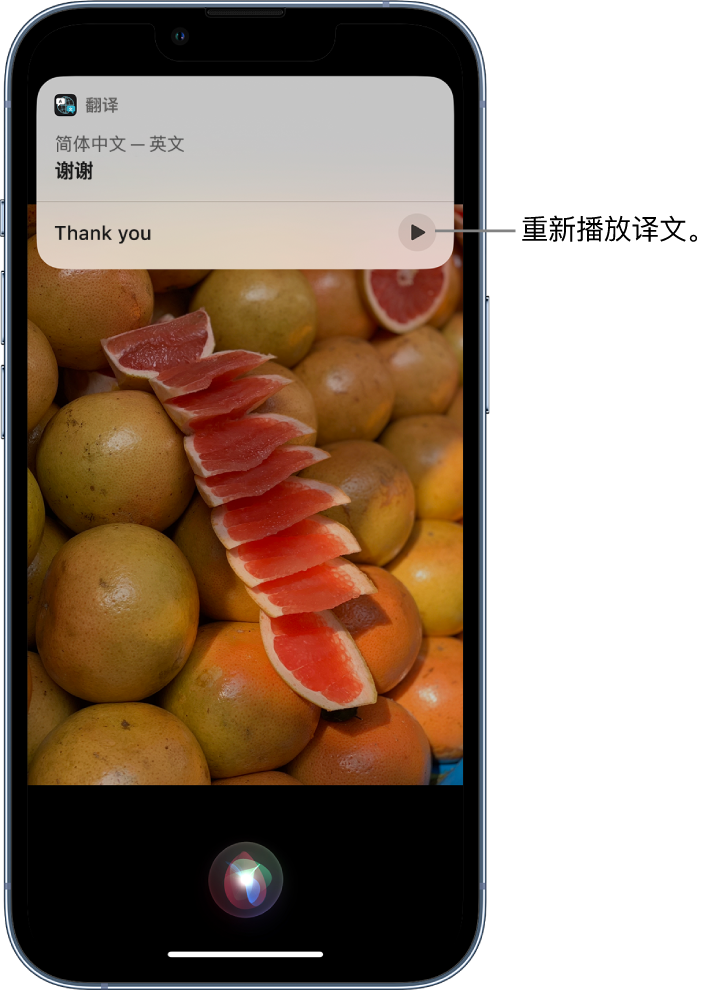 息县苹果14维修分享 iPhone 14 机型中使用 Siri：了解 Siri 能帮你做什么 