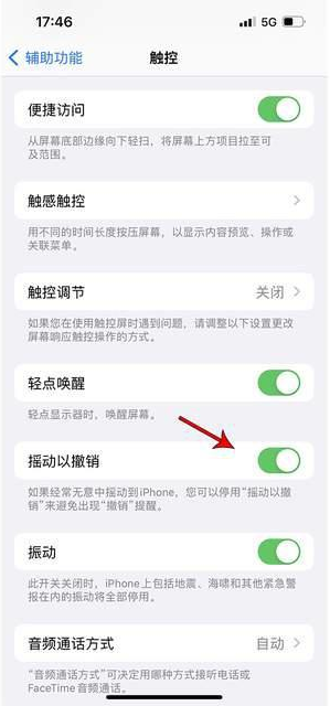 息县苹果手机维修分享iPhone手机如何设置摇一摇删除文字 